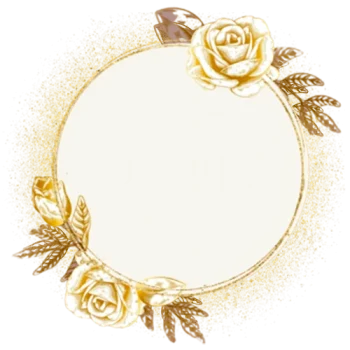 Denify-Shape (1) Denify-Shape (1)